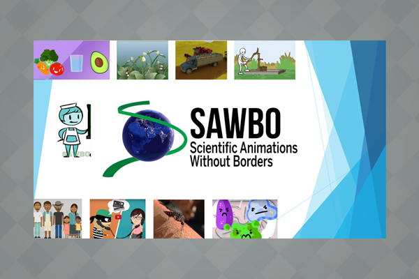 FREE SAWBO ICT Presentation in English for You, Your Organization, and Others to Use